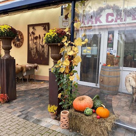 Ferienwohnungen Park Cafe Am Kurpark แบร์นคาสเทล-คืสท์ ภายนอก รูปภาพ
